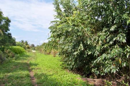 Gales Point, Gales Point, Belize District 00001, Belize