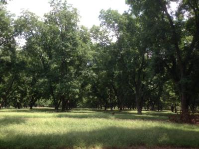 1601 King Road, Tifton, Georgia 31793