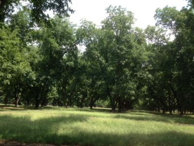 1601 King Road, Tifton, Georgia 31793