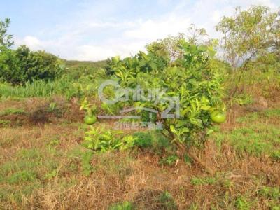 屯山段, Tamsui Dist., Nueva Taipei 251, Taiwan