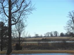 0 Hwy 161, Springfield, Теннесси 37172, Соединенные Штаты