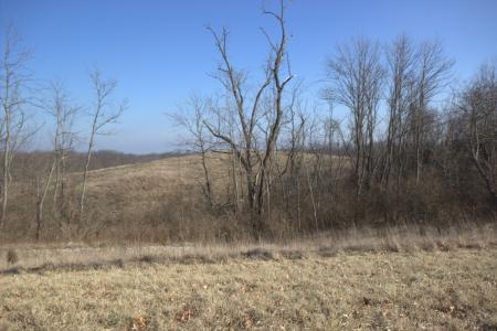 11461a Water Tower, Independence, Kentucky 41051