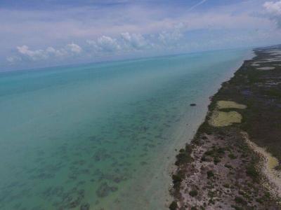 Corozal 00001, Belize