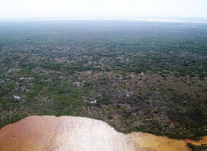 Corozal 00001, בליז