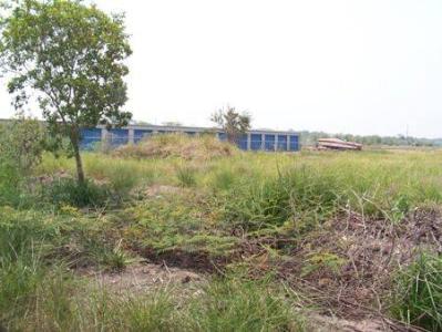 Vista Del Mar, Vista Del Mar, Belize District 00001, Belize