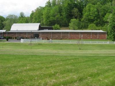 13563 State Route 217, Scottown, Ohio 45678, USA