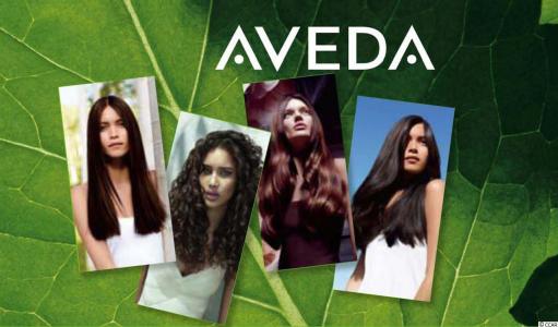 Business Only, Myrtle Beach, 南卡罗来纳州 29577, 美国