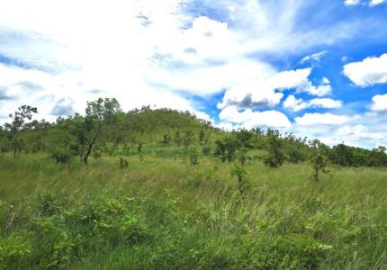 "9 Mile", National Capital District, Papua New Guinea