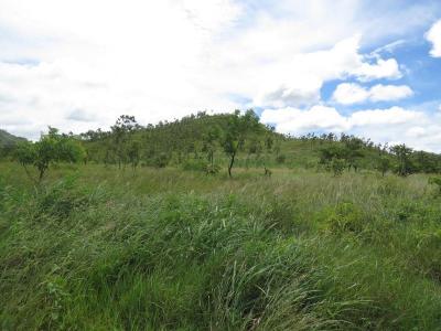 "9 Mile", National Capital District, Papua New Guinea