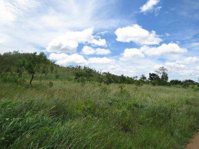 "9 Mile", National Capital District, Papua New Guinea