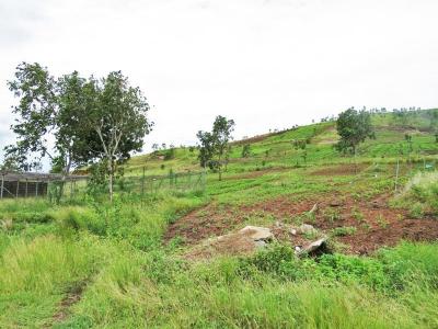 Gerehu, National Capital District, Papua New Guinea
