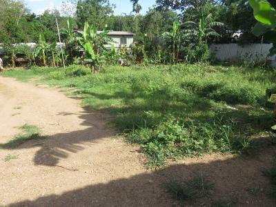 Gerehu, National Capital District, 土耳其