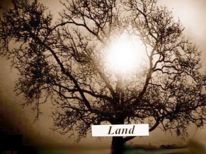 426 Lincoln Highway, Iselin, ניו ג'רזי 08830, ארצות הברית של אמריקה 