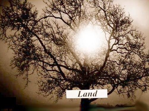 426 Lincoln Highway, Iselin, ניו ג'רזי 08830, ארצות הברית של אמריקה