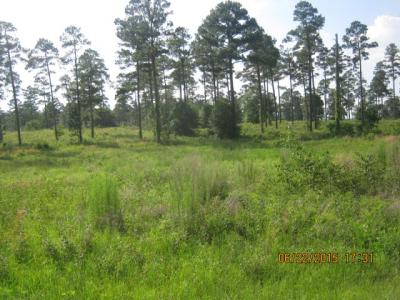 0 Coney Road, Cordele, Georgia 31015, USA