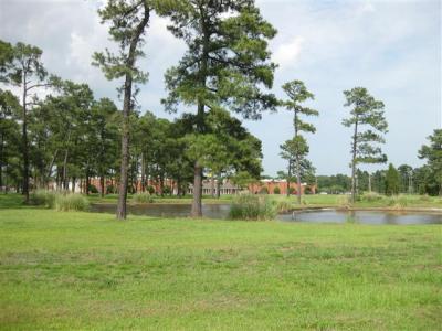 TBD Hwy 501 Tract B-2, Myrtle Beach, South Carolina 29579