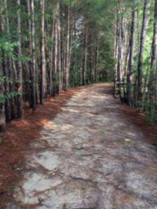 0 S Carpenter Road, Tifton, Georgia 31794, USA