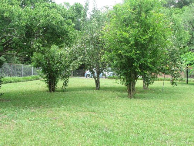 0 N McPhaul St.., Sylvester, Georgia 31791