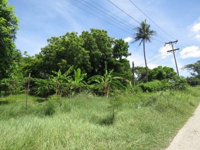 Town, National Capital District, Papua New Guinea