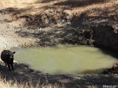 0  Los Colinas, Jamestown, 加州 95327, 美國