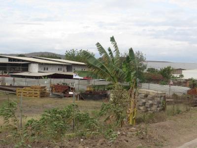 Gerehu, National Capital District, 土耳其