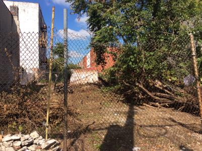 99 Lott Ave, Brooklyn, Nova Iorque 11212, Estados Unidos