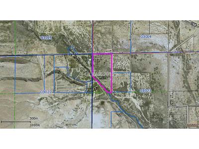 0 Warm Springs, Moapa, Nevada 89025, USA