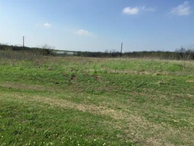 00 Miller Rd, Midlothian, Texas 76065