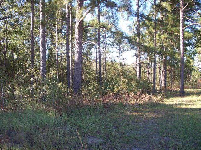 0 EVIE ROAD, Sylvester, Georgia 31791, HOA KỲ