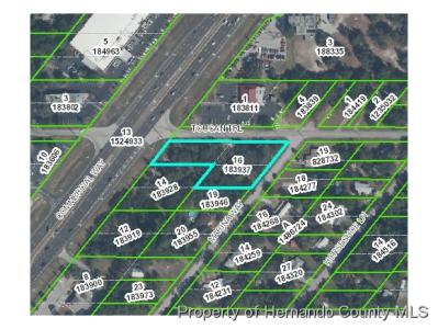 0  Commercial Way, Spring Hill, 佛罗里达州 34606, 美国