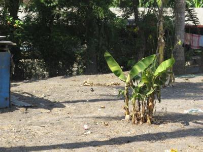 Waigani, National Capital District, Papua Yeni Gine
