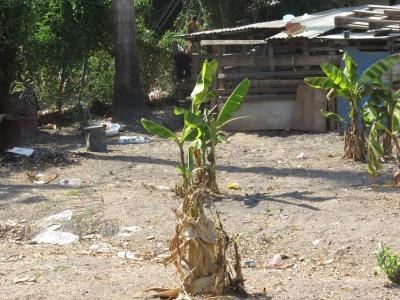 Waigani, National Capital District, Papua Yeni Gine