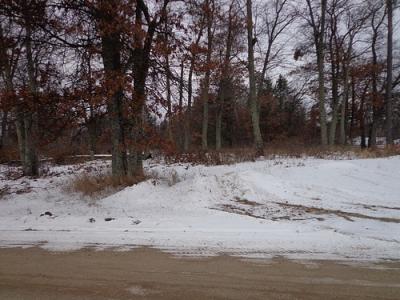 16565 MN-371 S, Brainerd, 明尼苏达州 56401, 美国