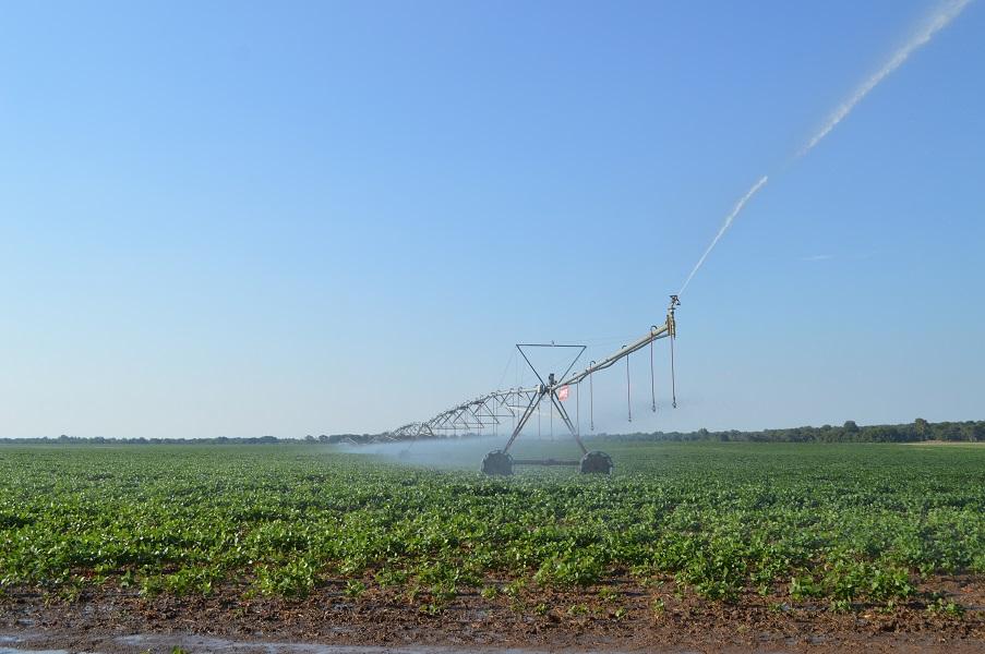 CR 3390, Clarksville, テキサス 75426, アメリカ合衆国