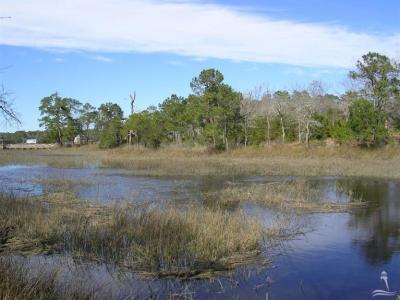 Fletcher Hewett Rd, Shallotte, North Carolina 28470, USA