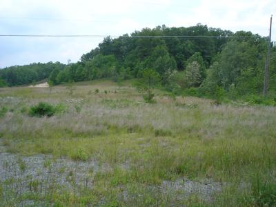 1786 Old Mt. Nebo Road, Mt. Nebo, WV 26679, USA