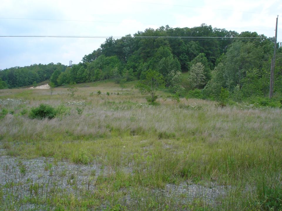 1786 Old Mt. Nebo Road, Mt. Nebo, West Virginia 26679, HOA KỲ