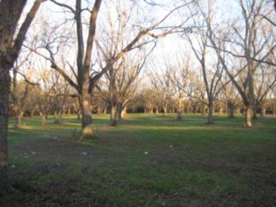 0 Chula Brookfield Rd., Chula, Georgia 31733, USA