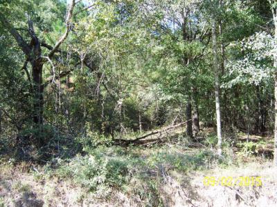 0 Lot 1 Glynn Cook Road, Ashburn, Georgia 31714, HOA KỲ