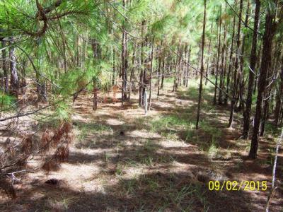 0 Lot 32 Eagle Court Drive, Ashburn, Georgia 31714, HOA KỲ