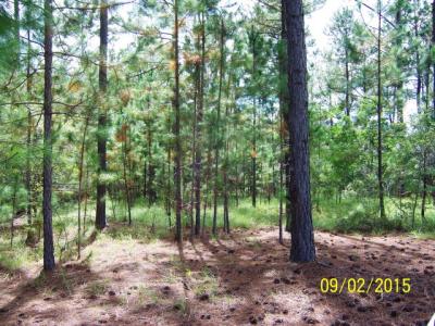 0 Lot 33 Eagle Court Drive, Ashburn, Georgia 31714, HOA KỲ