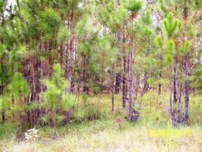 0 Lot 30 Eagle Court Drive, Ashburn, Georgia 31714, HOA KỲ