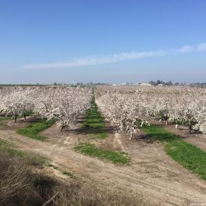 11116  Sierra Rd, Oakdale, California 95361