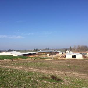 11116  Sierra Rd, Oakdale, California 95361