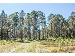 Lake Patience Road, Land O' Lakes, Floride 34638, États-Unis