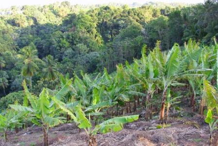 2 acres at Calibishie Heights, Saint Andrew, Dominica