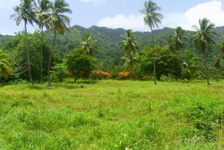 Ant  Hill Farm, Saint David, Dominica