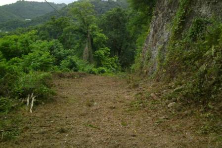 Lots available at Everton Estate, Loubiere, Saint George, Dominica