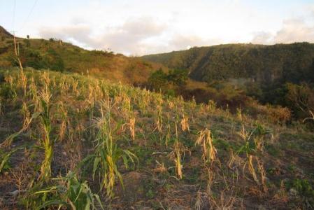 Macoucherie, Portion of land at Macoucherie Estate, Saint Joseph, Dominica