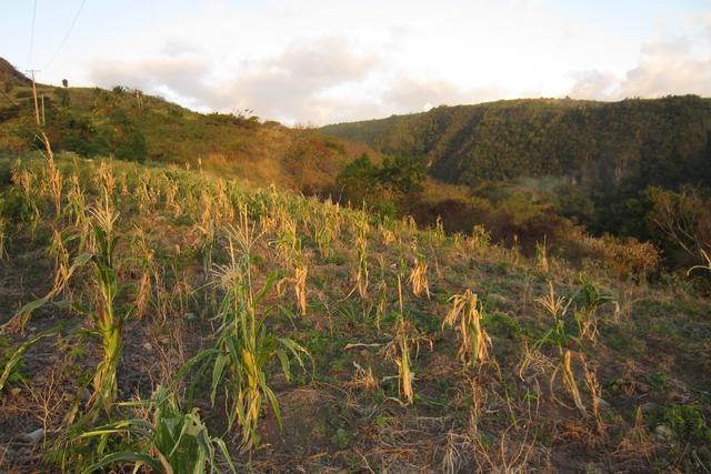 Macoucherie, Portion of land at Macoucherie Estate, Saint Joseph, Dominica